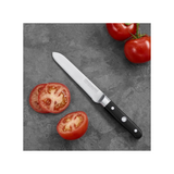 Professional Series Stainless Steel Knife - 5.5"