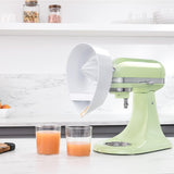 CITRUS JUICER